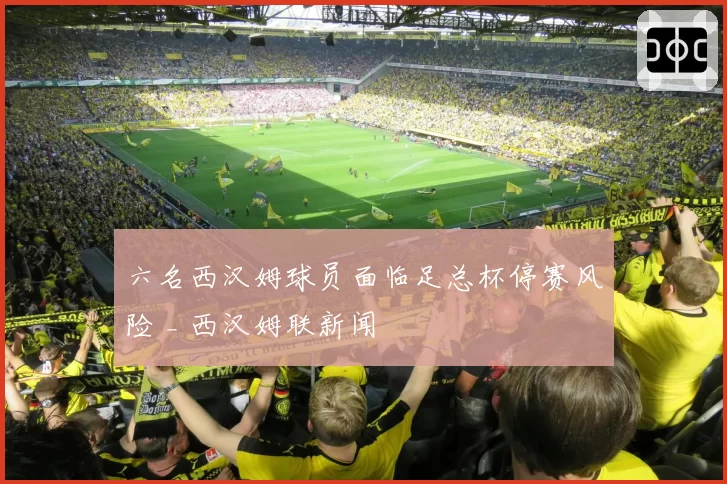 六名西汉姆球员面临足总杯停赛风险 _ 西汉姆联新闻
